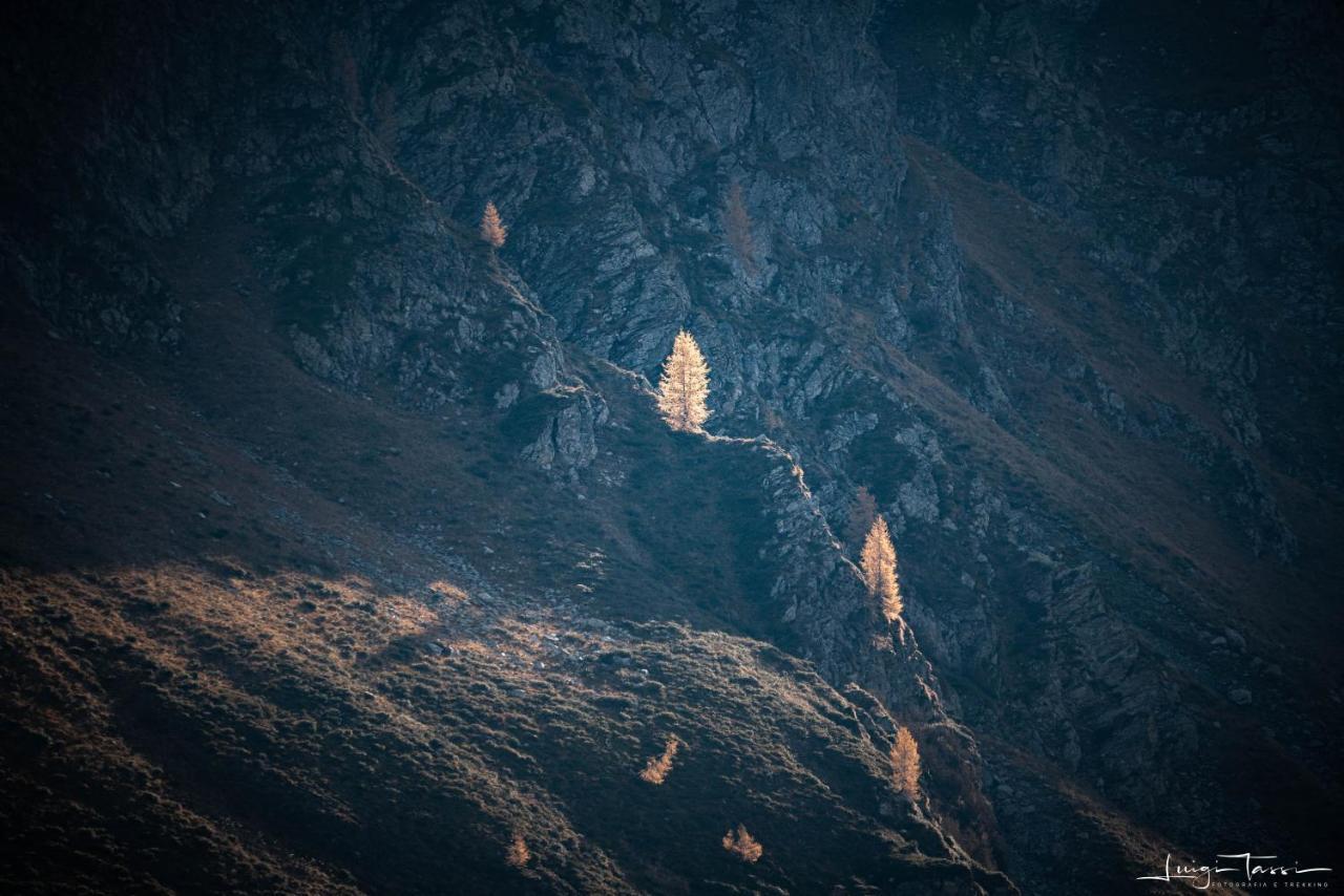 Haus Egger Daire Kartitsch Dış mekan fotoğraf