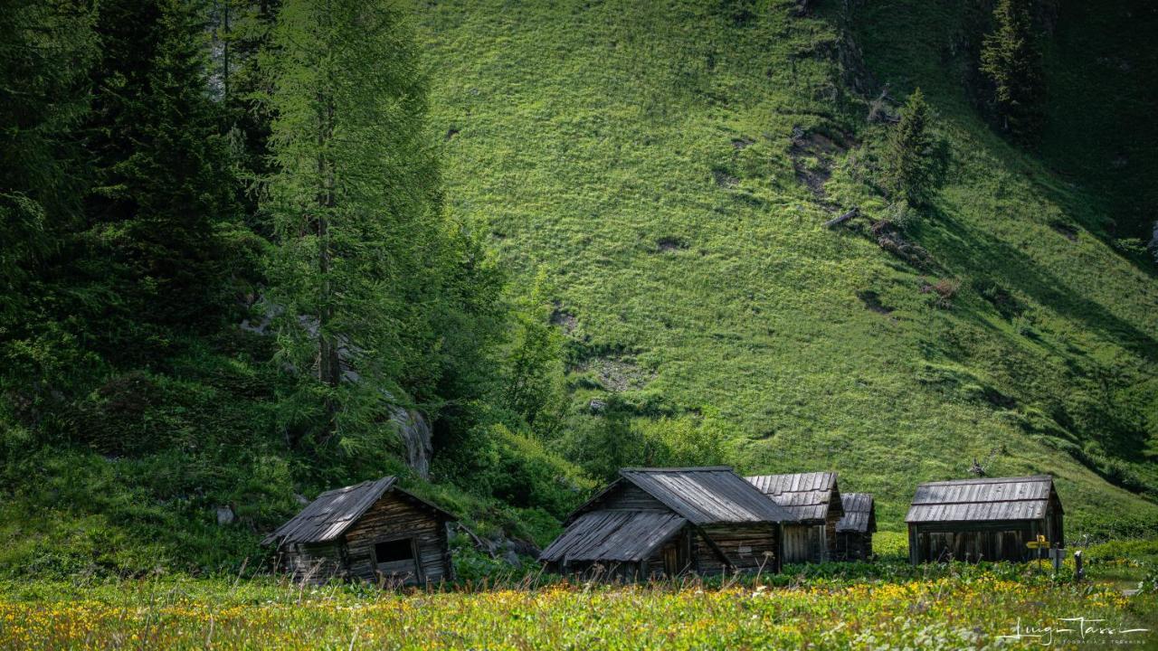 Haus Egger Daire Kartitsch Dış mekan fotoğraf