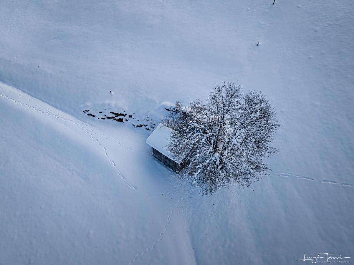 Haus Egger Daire Kartitsch Dış mekan fotoğraf