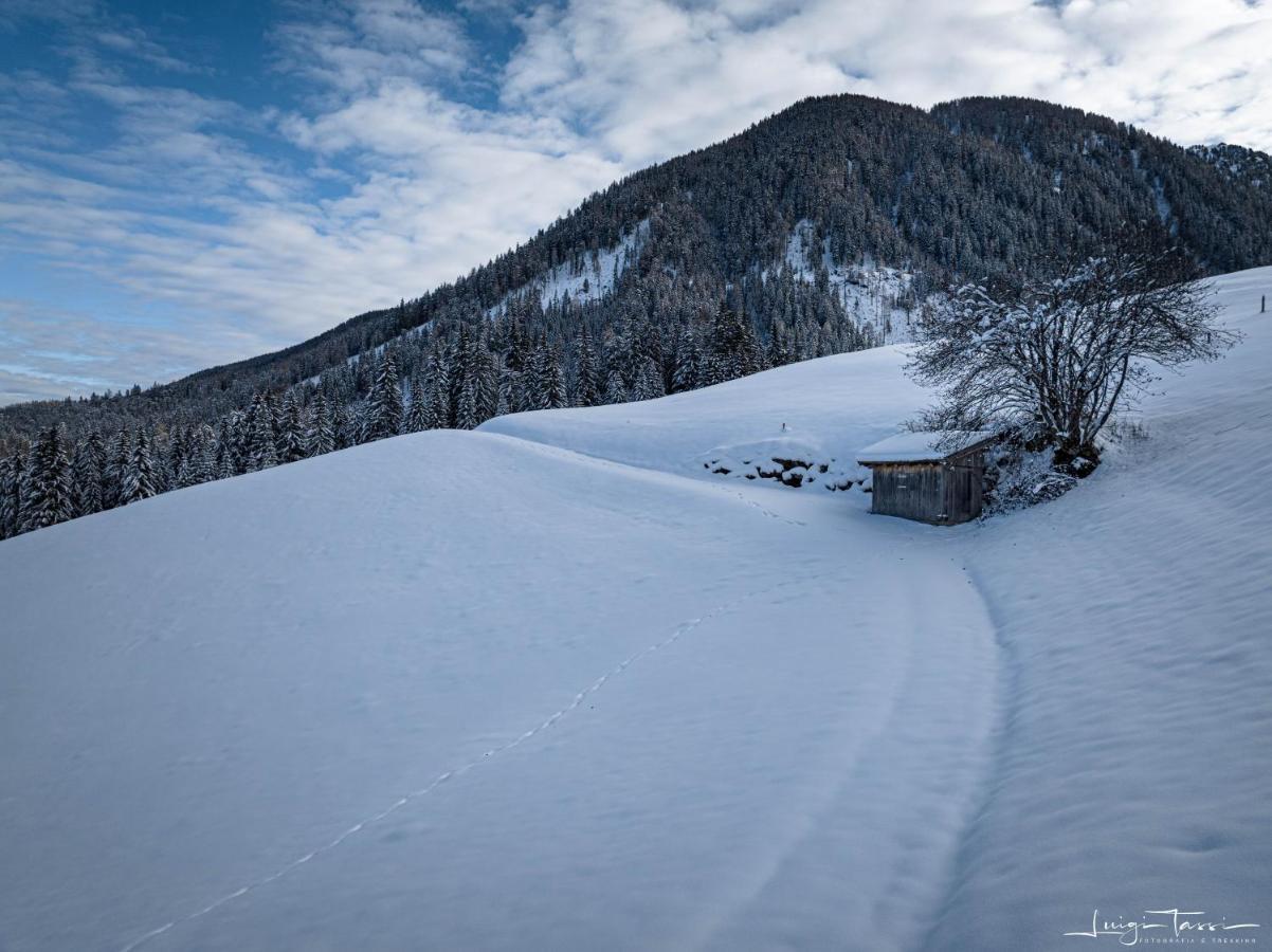 Haus Egger Daire Kartitsch Dış mekan fotoğraf