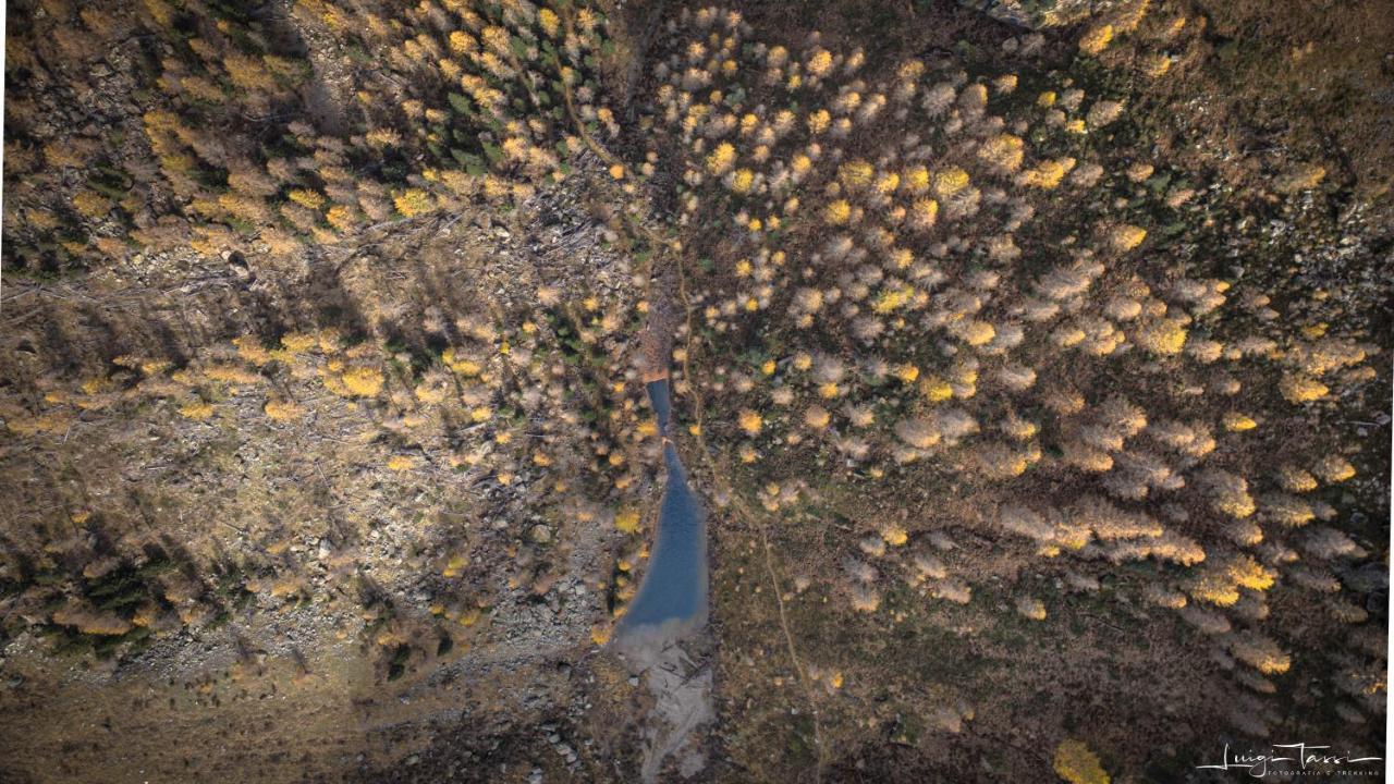 Haus Egger Daire Kartitsch Dış mekan fotoğraf
