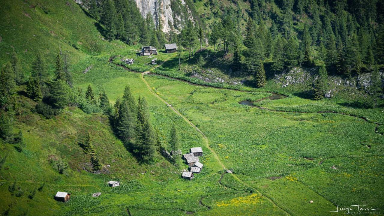 Haus Egger Daire Kartitsch Dış mekan fotoğraf